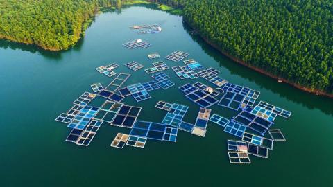 Aerial View of Chandil Dam